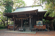 横山八幡宮