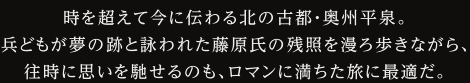 時を超えて今に伝わる北の古都・奥州平泉。 兵どもが夢の跡と詠われた藤原氏の残照を漫ろ歩きながら、 往時に思いを馳せるのも、ロマンに満ちた旅に最適だ。